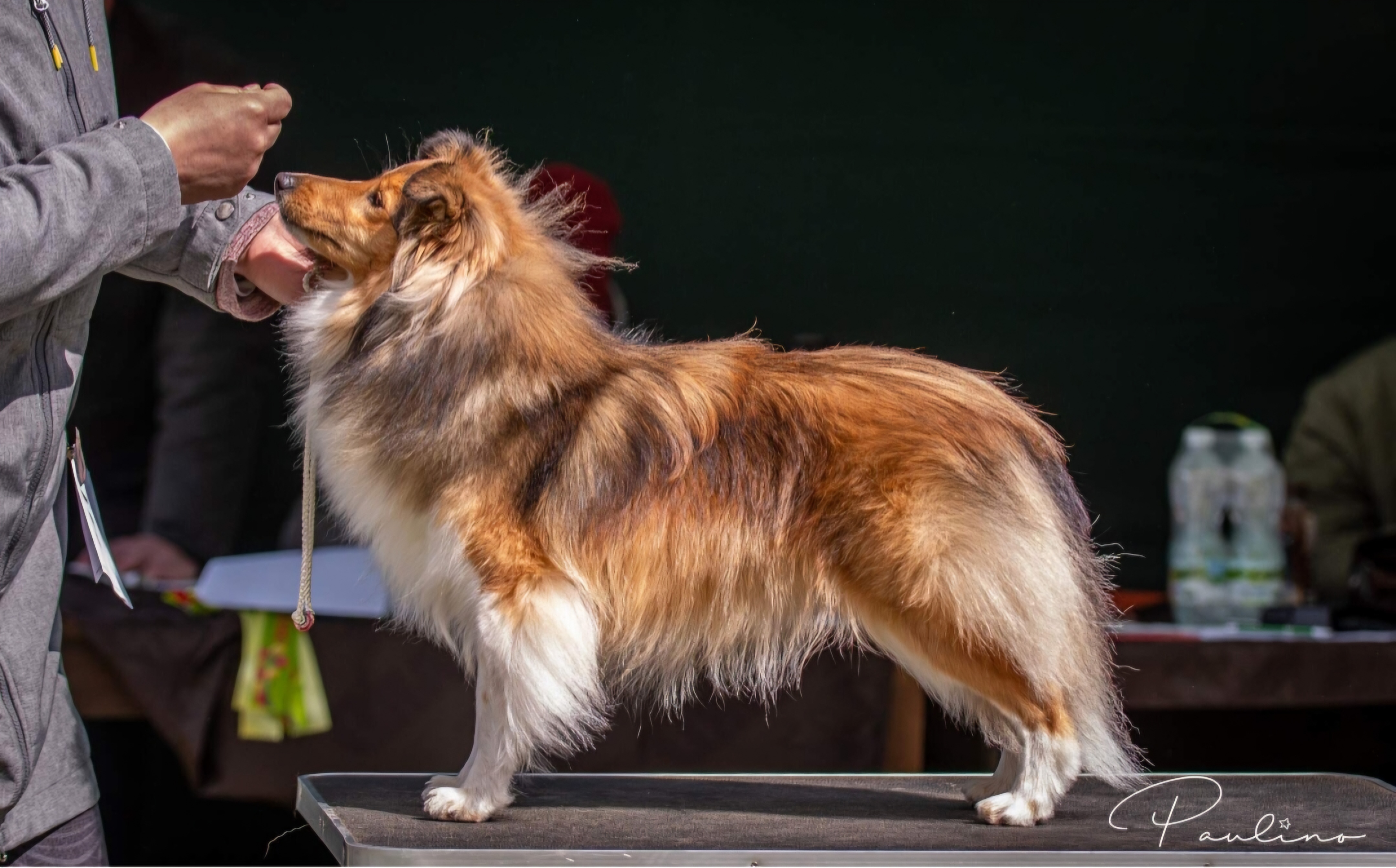 Kiss Forever Královský dar